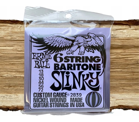Ernie Ball 2839