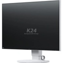 Eizo FlexScan S1934H