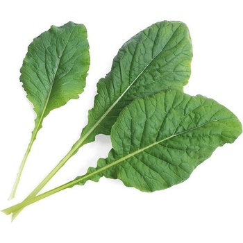 Veritable Вложка за семена Lingot Smaki Azji Японска горчица Komatsuma (VLIN-S10-Kom038)