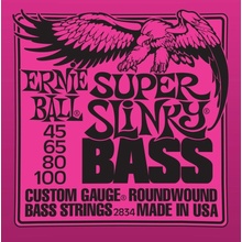 Ernie Ball 2834