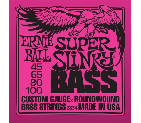 Ernie Ball 2834