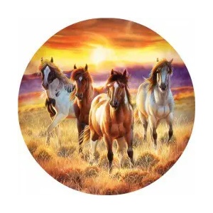 SunsOut - Puzzle Running in the sun - 500 piese