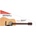 Fender FA-115 Dreadnought Pack
