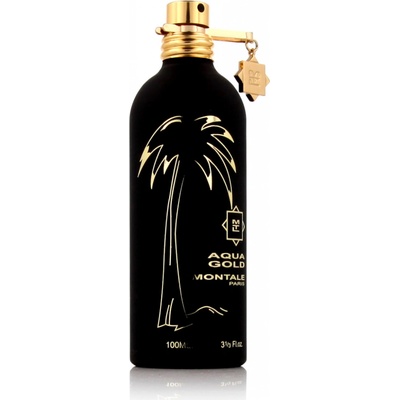 Montale Paris Aqua Gold parfumovaná voda unisex 100 ml