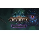 Hry na PC Pillars of Eternity 2: Deadfire - The Forgotten Sanctum