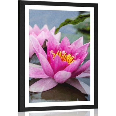 Plakát s paspartou růžový lotosový květ - 30x45 black