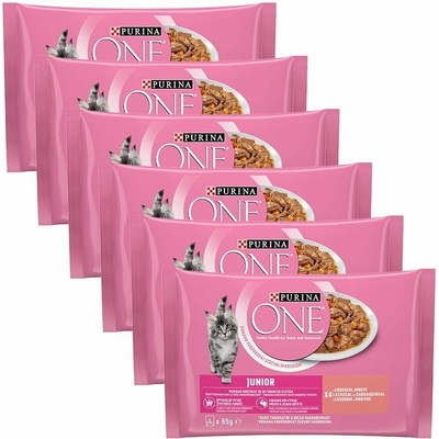 Purina ONE Junior losos v šťave 24 x 85 g