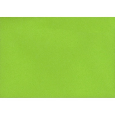 Pukka Pad PUKKA obálka C6 100g zelená světlá /50/ ,balení 50 ks 299906