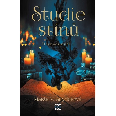 Studie stínů