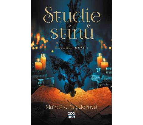 Studie stínů