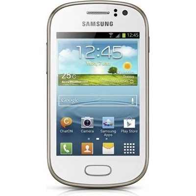 Samsung S6810P Galaxy Fame