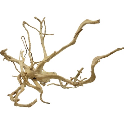 Invital Red moor wood KG 1285 g Z04968