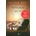Espasa Libros, S. L Reflejada en ti | Sylvia Day, María Jesús Asensio Tudela, Jesús de la Torre Olid