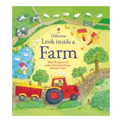 Look Inside a Farm - Daynes Katie