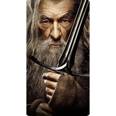Plakát Pán prstenů Gandalf