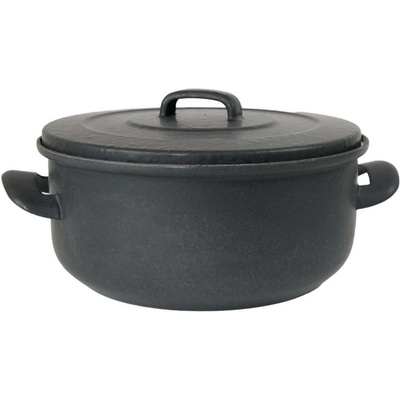 SFINX BSE 20 cm 2 l