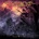 SurVive - Eternal Flight LP