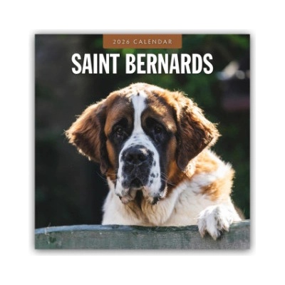 Browntrout Verlags GmbH Saint Bernards - Bernhardiner 2026 - 16-Monatskalender | Red Robin