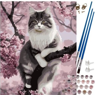 Maaleo 22783 Malování podle čísel Kočka 40 x 50 cm