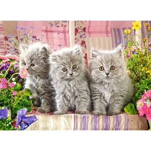 Castorland - Puzzle Gray kittens - 300 piese