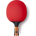 Butterfly Timo boll comfort черно, червено, кафяво (1020250201)