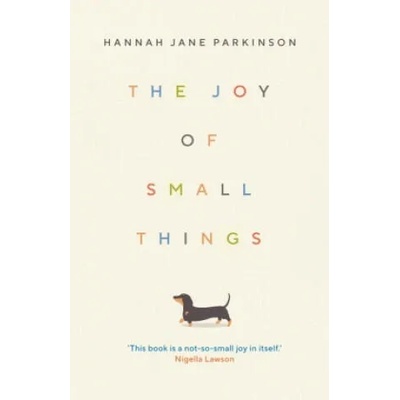 Joy of Small Things | Hannah Jane Parkinson