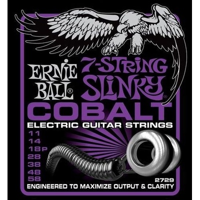 Ernie Ball P02729
