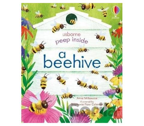 Peep Inside a Beehive