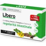 Paladin Pharma Лаксатив формула със сена и зърнастец Sanavita, 20 таблетки (550215 (50017) PP)