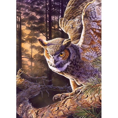 Cobble Hill - Puzzle Evening Hunter - 1 000 piese