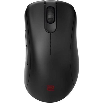 ZOWIE GEAR EC2-DW (9H.N4VBE.A2E)