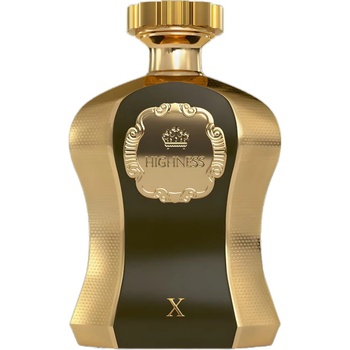 Afnan Highness x Brown EDP 100 ml