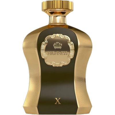 Afnan Highness x Brown EDP 100 ml