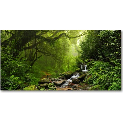 Fotoobraz na skle Prales v Nepále 100x50 cm