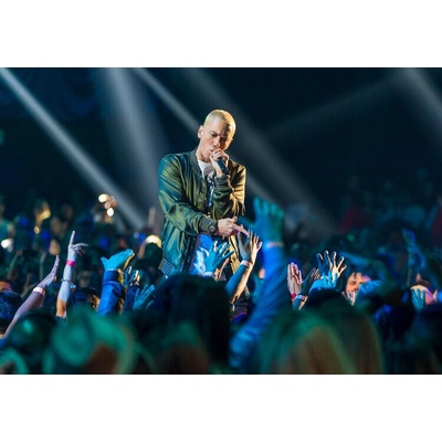 Plagát, Obraz - Eminem at MTV Movie Awards 2014, 40 × 26.7 cm