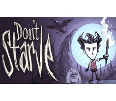 Dont Starve