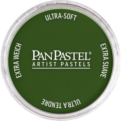 PanPastel Artists’ suchý pastel 660.5 chromium oxide green