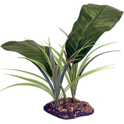 Komodo Evergreen Canopy 35 cm