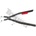 Triumf J51