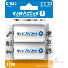 everActive professional line D 10000mAh 2ks EVHRL20-10000