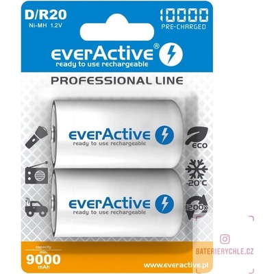 everActive professional line D 10000mAh 2ks EVHRL20-10000