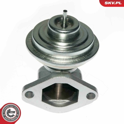 AGR-Ventil ESEN SKV 14SKV049