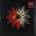 Archetypes Collide - Archetypes Collide LP