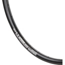 Rodi WEB DISC