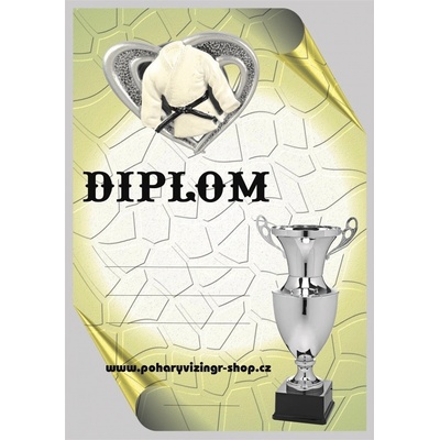 VIZINGR Judo diplom A4 č.5