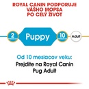 Royal Canin Pug Puppy 1,5 kg
