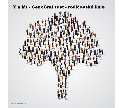 Y+Mt Genograf Basic