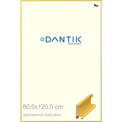 DANTIK rám na obraz 80 x 120 Dýha barevná žlutá citrus