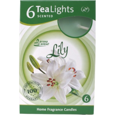Morex Lily 6 ks