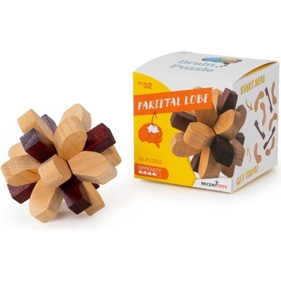 RecentToys Brain Puzzle 2 Temenní lalok